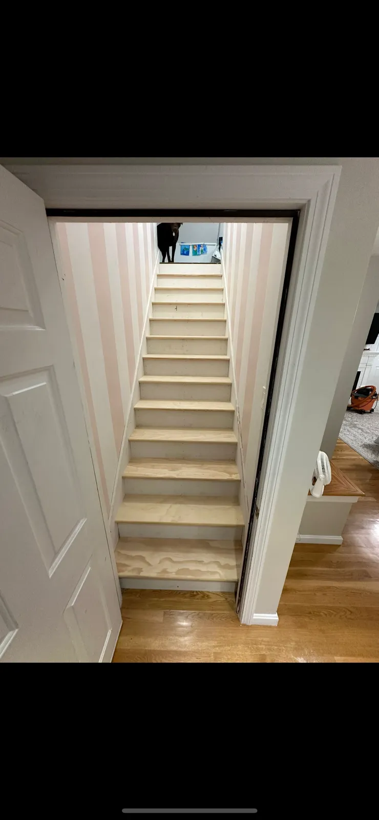 Martins carpentry