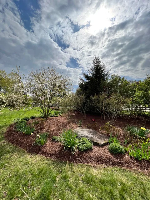 Spring Garden Renovation