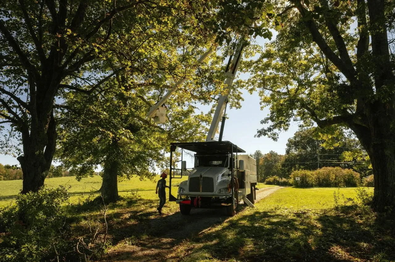 Expert care from B&R Tree Services