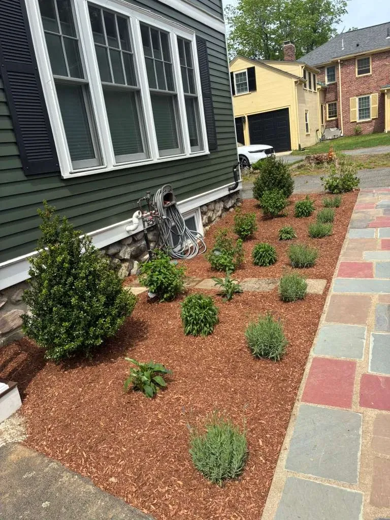 work photo from ramostreeplanting.com