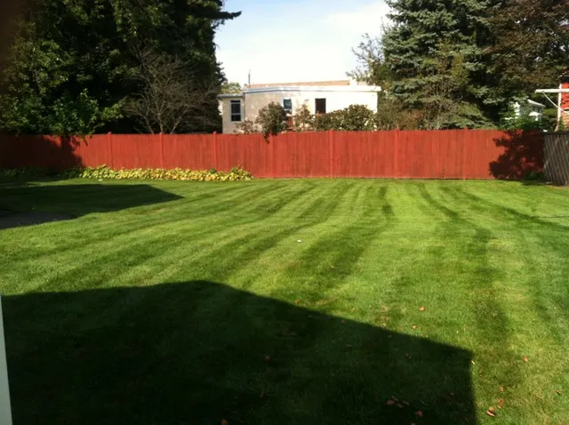 Clean and Green Landscaping work photo