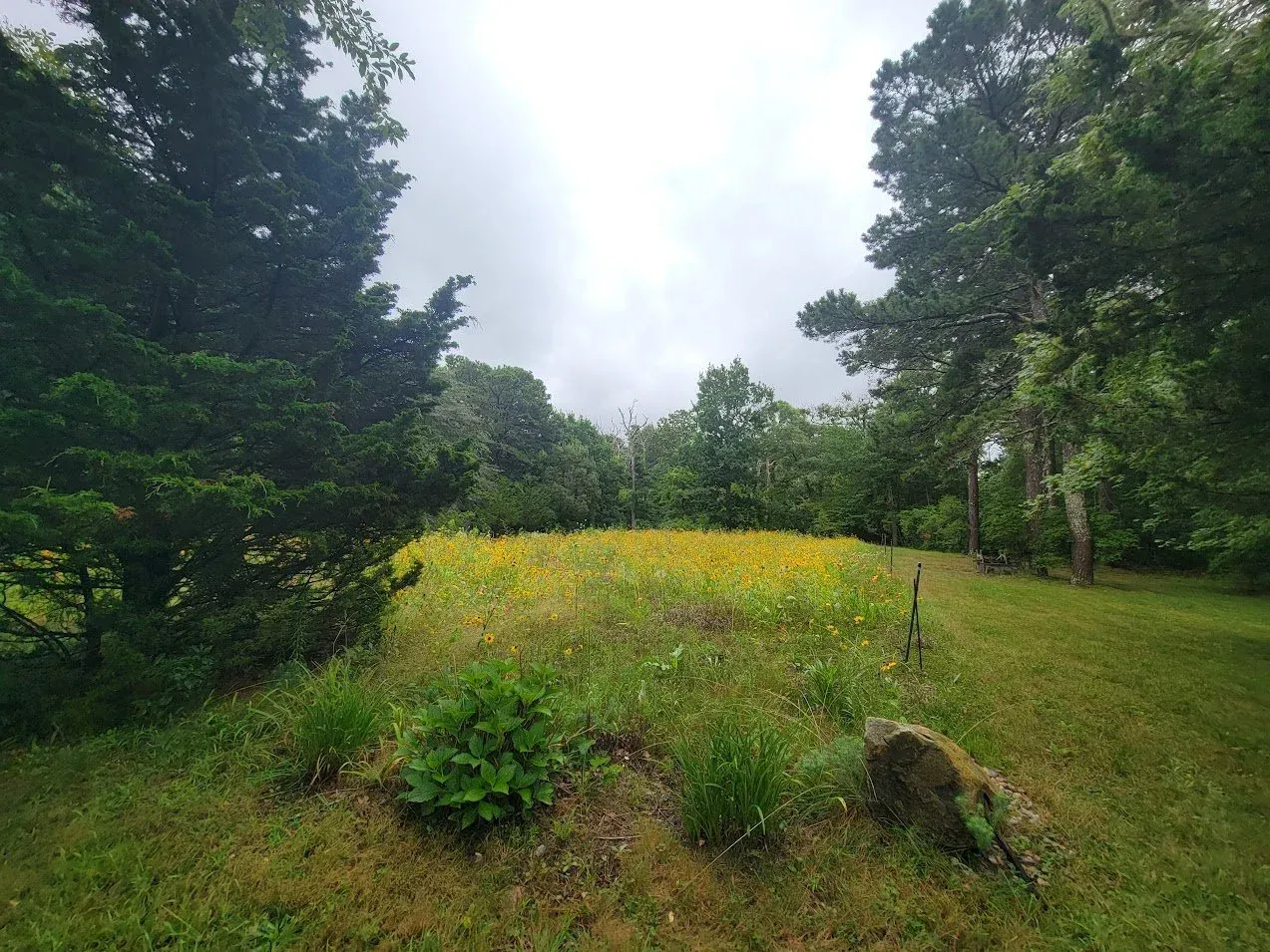 20230816_093007 - Copy.jpg
