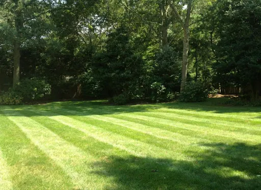 Lawn Doctor of Putnam County and Wappinger Falls work photo