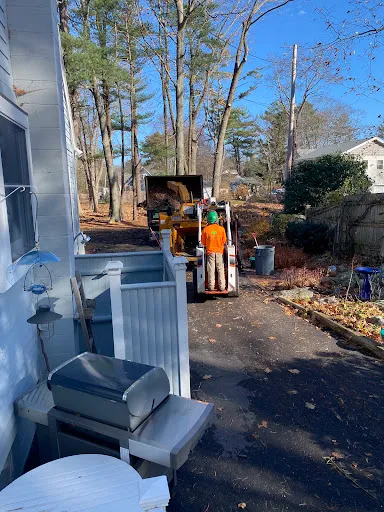Elm Landscaping & Construction work photo