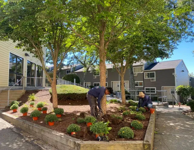 work photo from enriquezlandscaperi.com