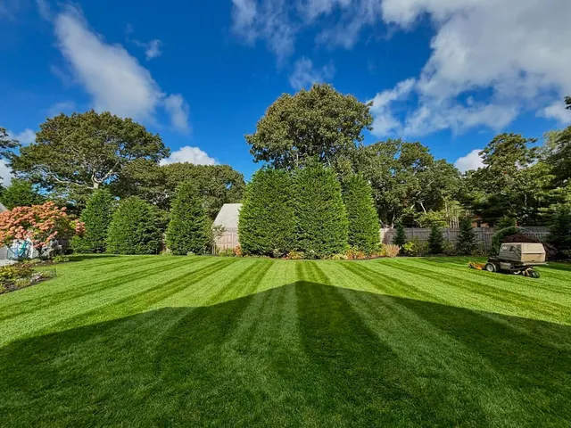 work photo from coleslawncareandlandscaping.com