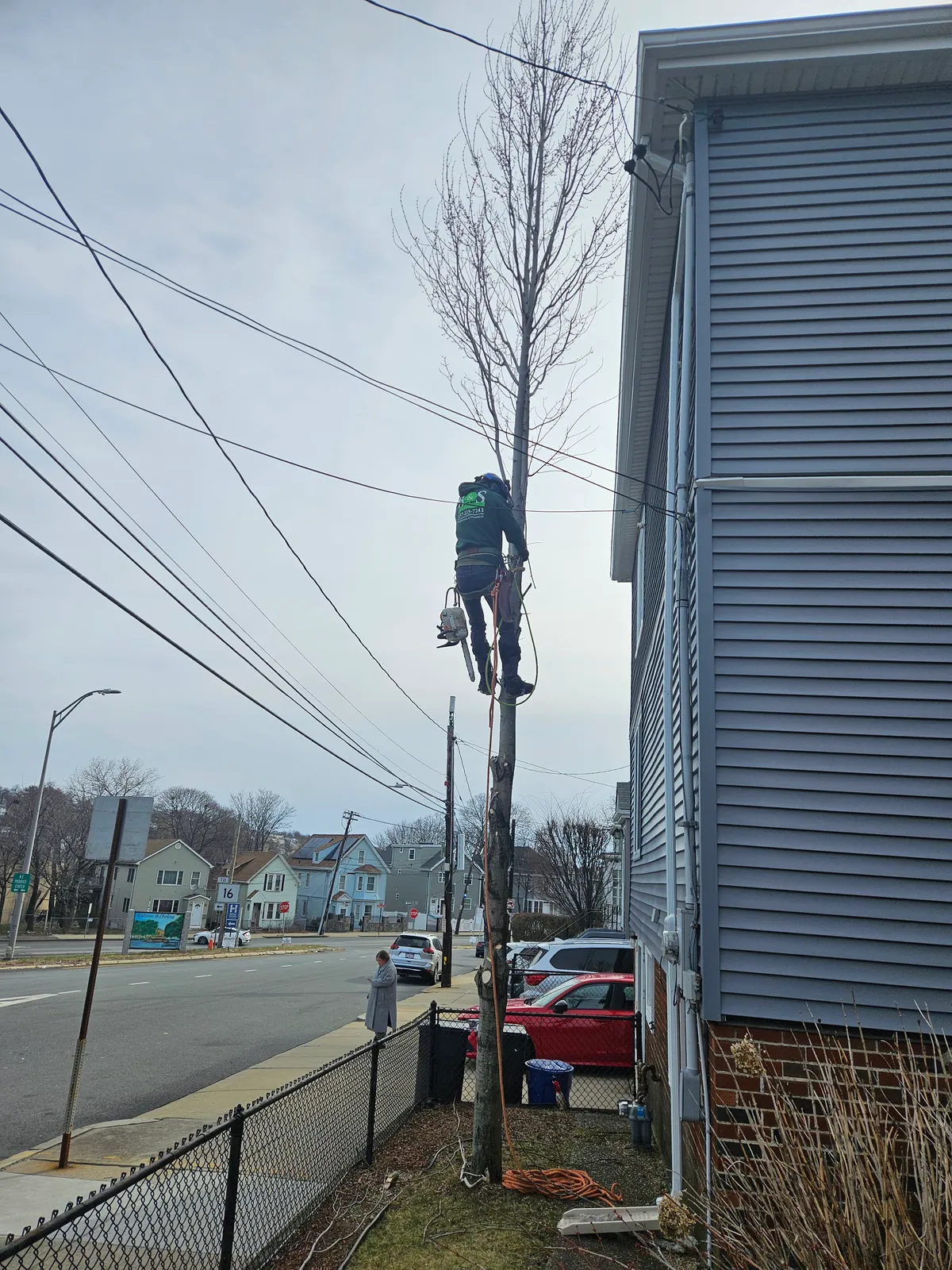 work photo from Google listing