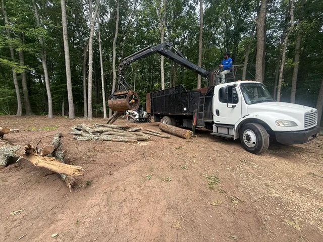 Garcí’s tree removal & landscaping LLC work photo