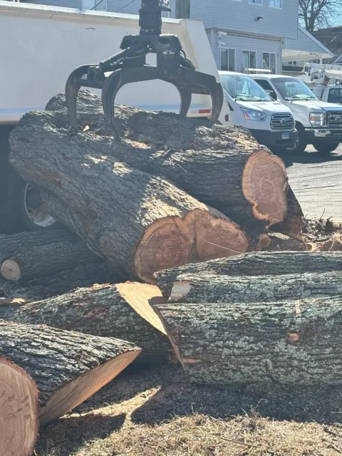 work photo from lifetreeservicesllc.com