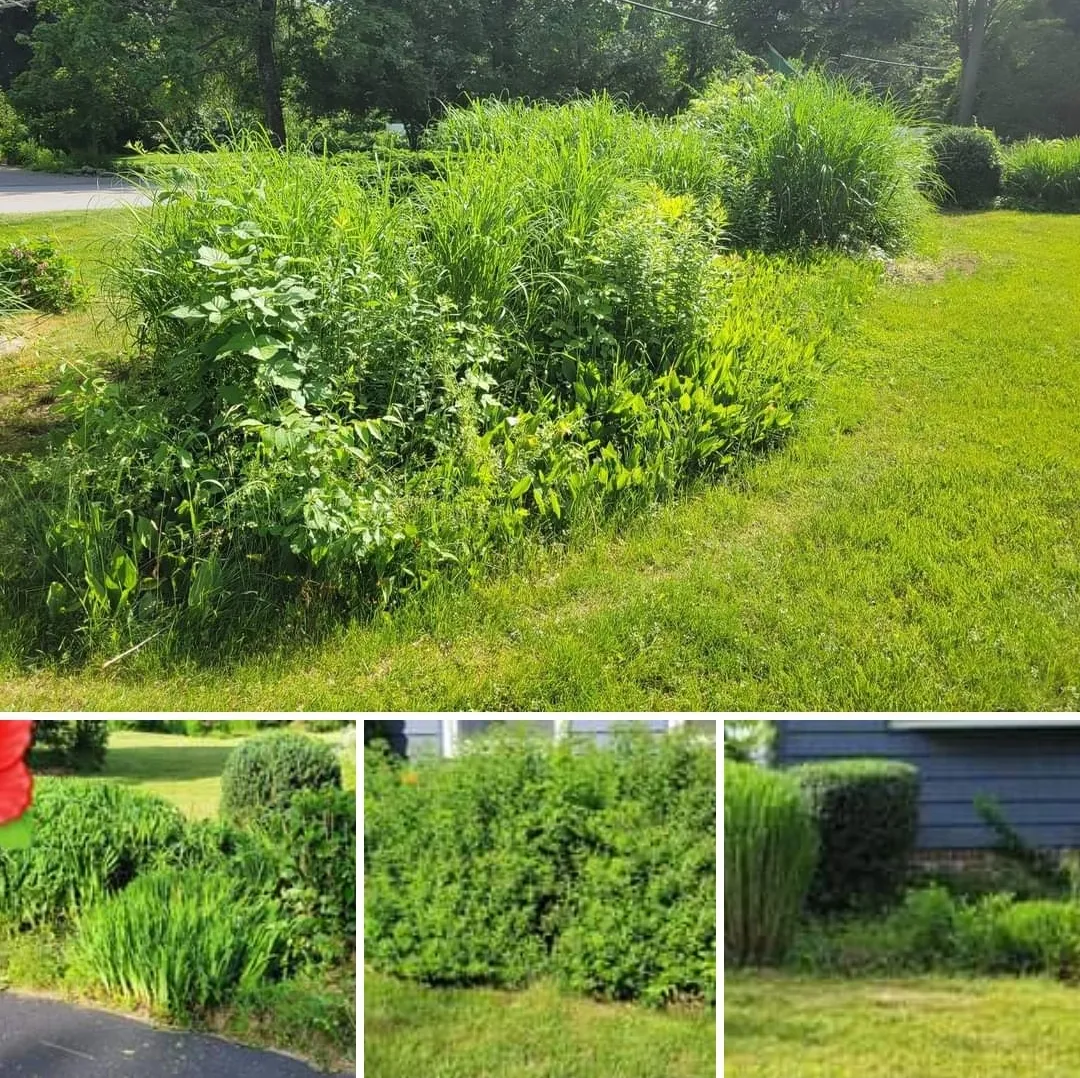 Sammy's Lawns