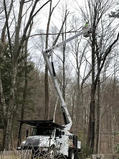work photo from ryanstree.com