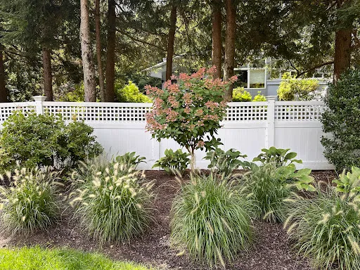Review photo by Edward Becker