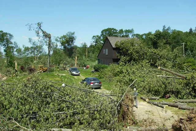 work photo from clearviewtreeserv.com