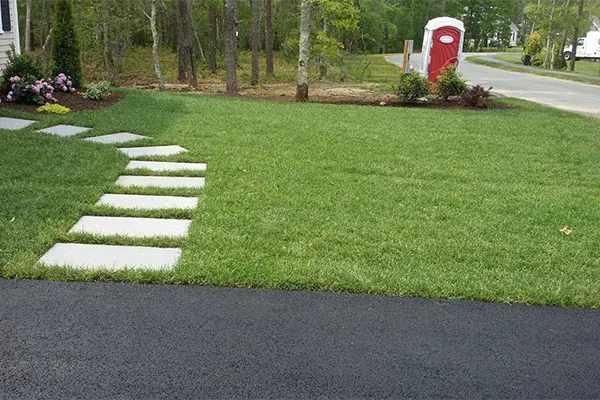 Lawn Maintenance