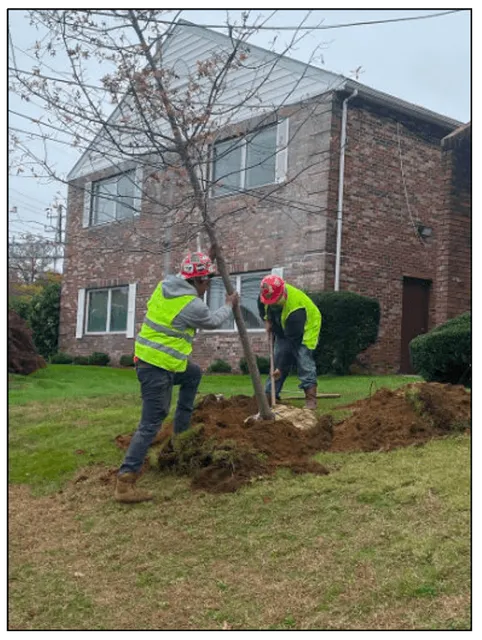 Planting