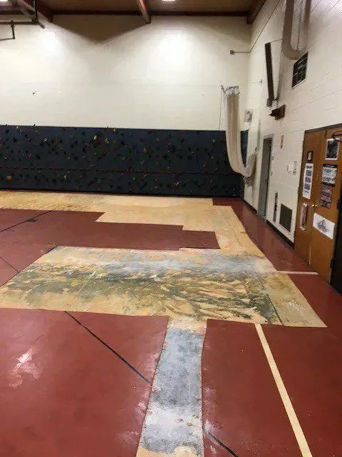 Abatement Pro and Demo