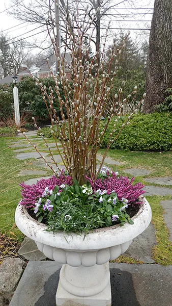 work photo from finegardeners.com