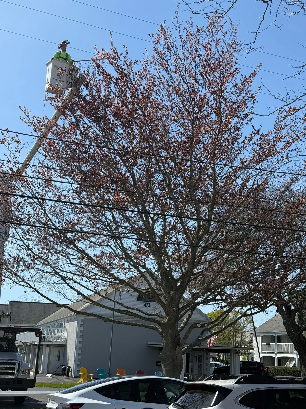 work photo from Google listing