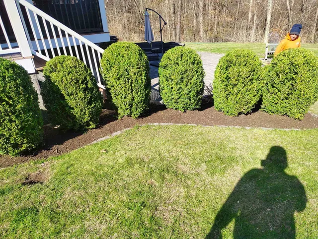 work photo from nxtlandscapingandtreeservice.com