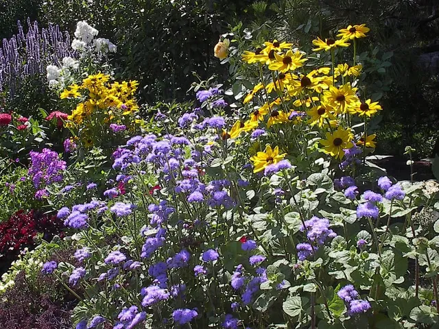 Perennial Solutions work photo