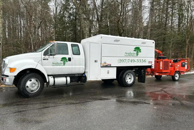 Aesthetics Tree Care work photo