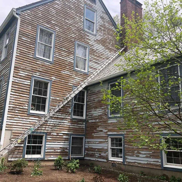 star painters house 03f Star Painters