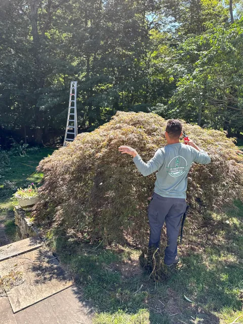 J.G Tree and Lawn Services work photo
