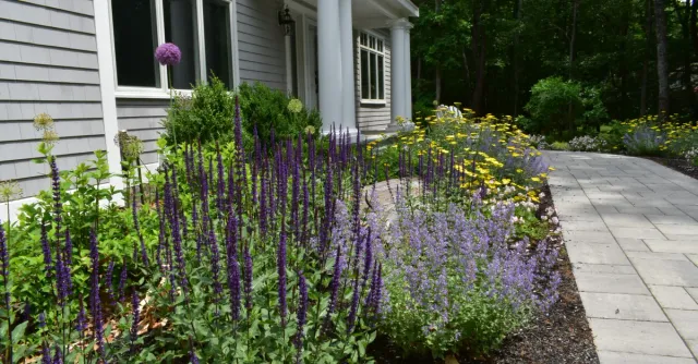 McDermott Landscape Design researched project photo