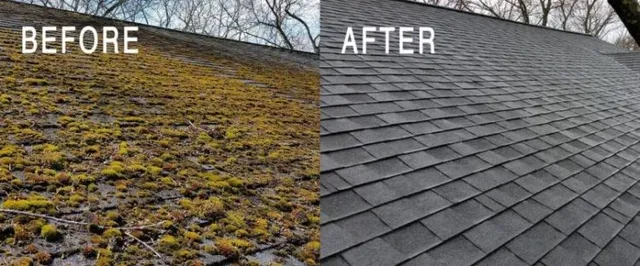 Perfect Boston Masonry