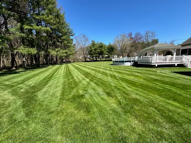Lush Lawns work photo