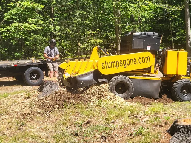 Wow! We're hearing about some crazy high prices being quoted for stump grinding services. Be sure to get a quote from us here at Maineland Stump Grinding! #mainelandstumpgrinding #stumps #stumpsgone #stumpgrinding #stump #stumpremoval #stumpgrindingmaine