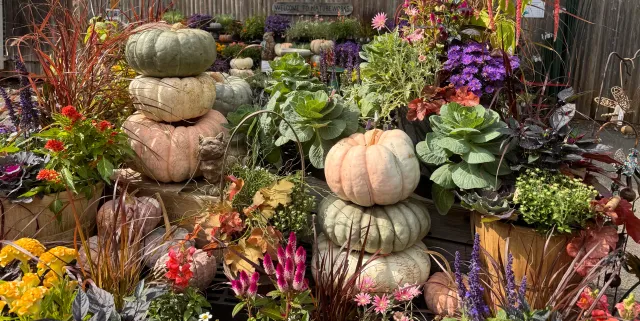 work photo from natureworksgardencenter.com