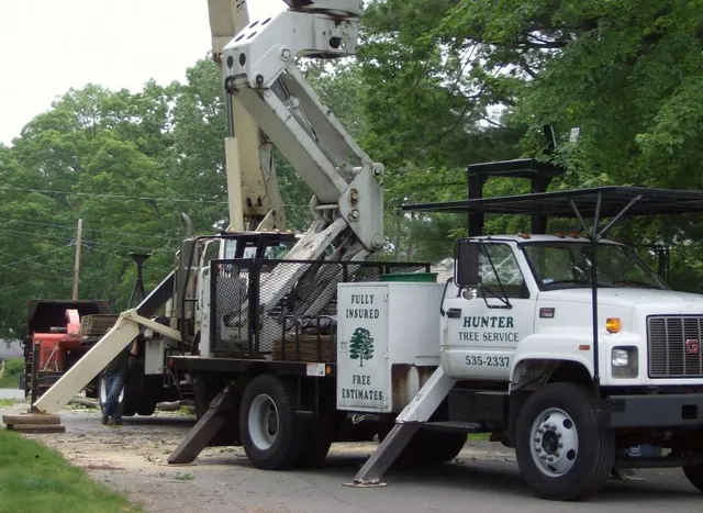 Hunter Tree Service. work photo