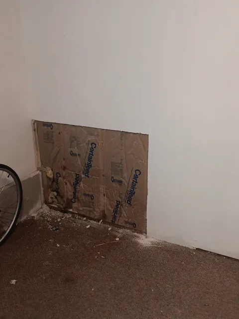 Lower section of downstairs wall opened for repair, with exposed insulation and removed drywall.