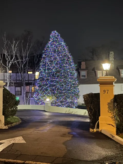 Holiday Lighting