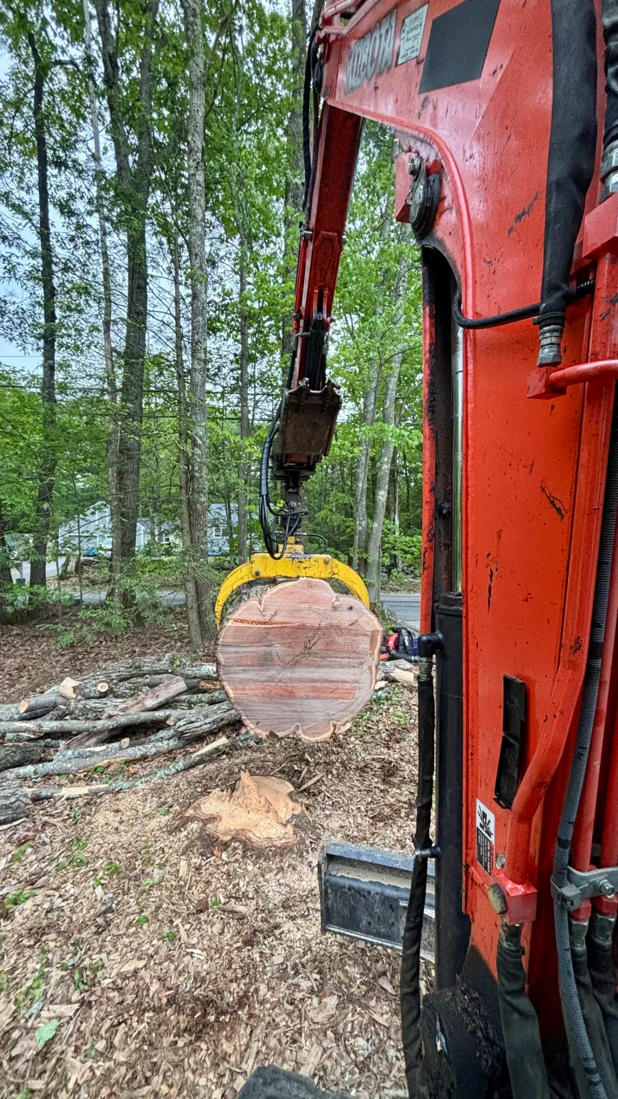 new england tree service excavator moving large tree