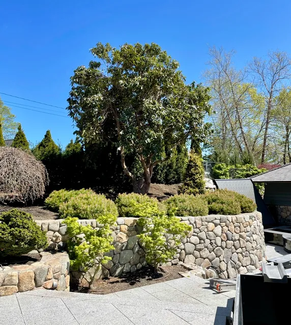 Acorn Tree & Landscaping inc. researched project photo