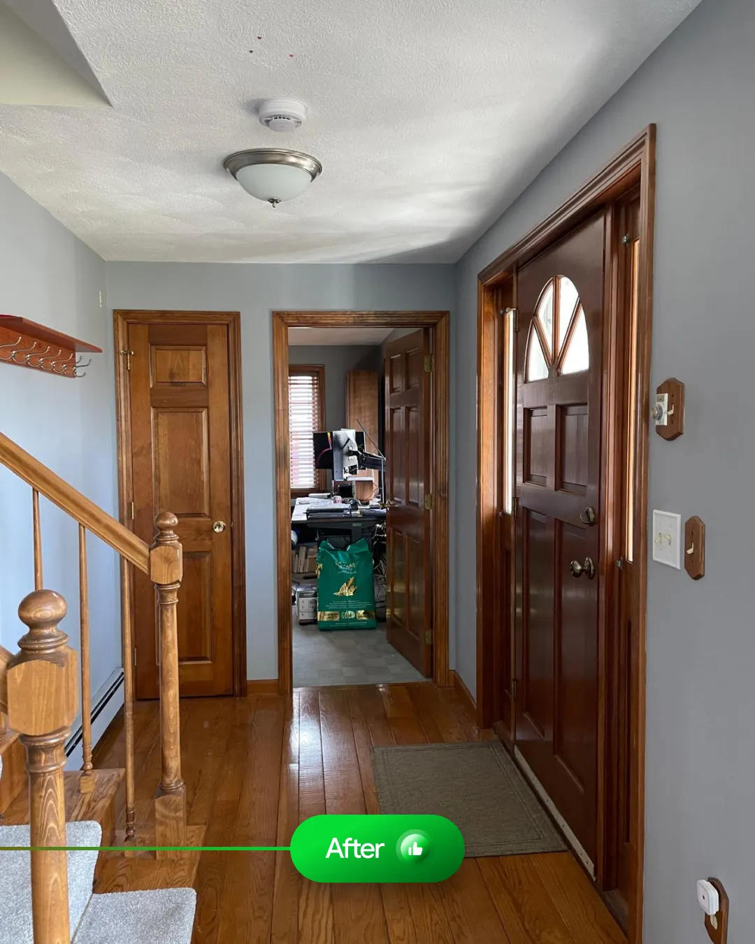 Top Notch Pro Painting Inc.