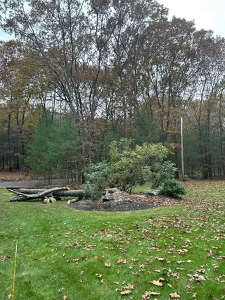 A to Z Tree Service researched project photo