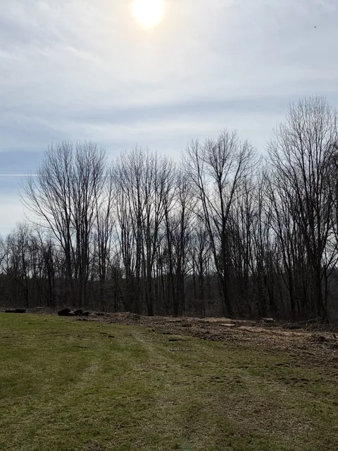 Cleared lot with treeline pushed back