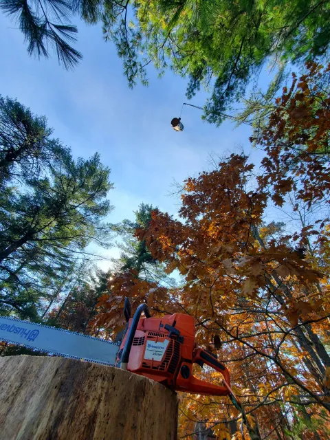 A chainsaw is sitting on top of a tree stump.