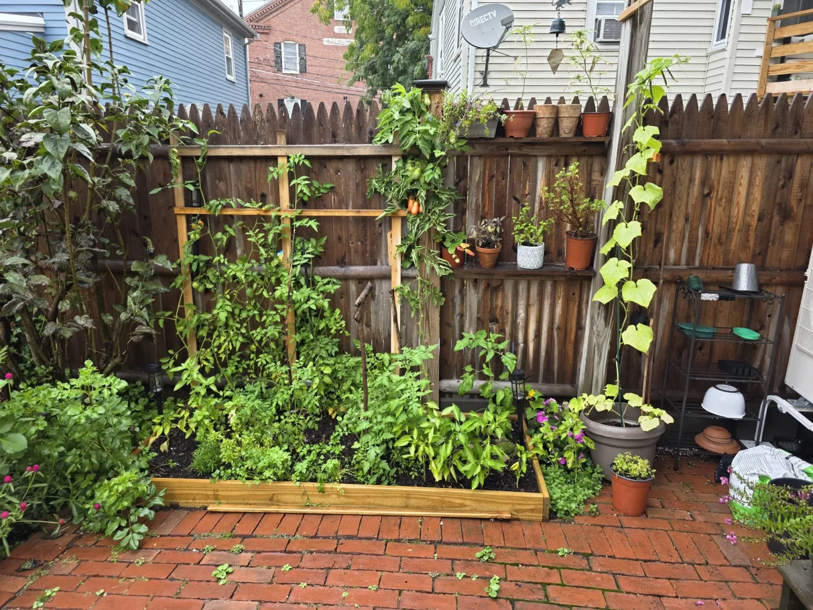 Flower and Veggie bed with a climbing trellis