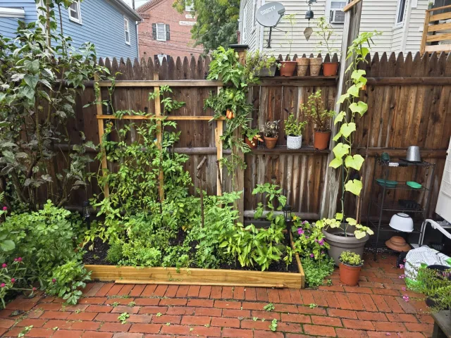 Flower and Veggie bed with a climbing trellis
