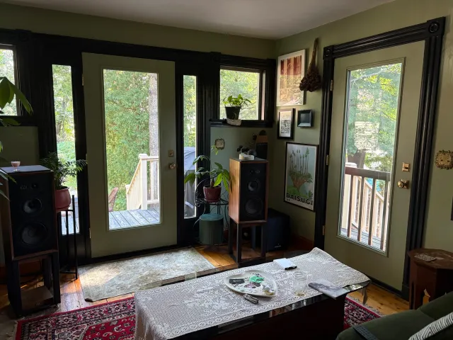 Living room with green walls, black-framed glass doors leading to a deck, potted plants, wall art, and audio equipment, with sunlight coming through the windows.