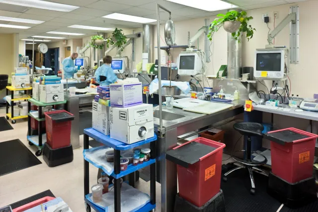Yale New Haven Hospital Surgical Pathology