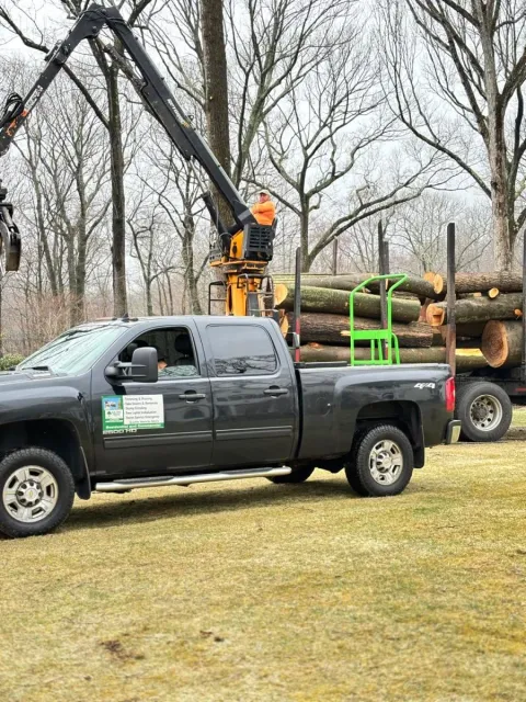 work photo from lifetreeservicesllc.com