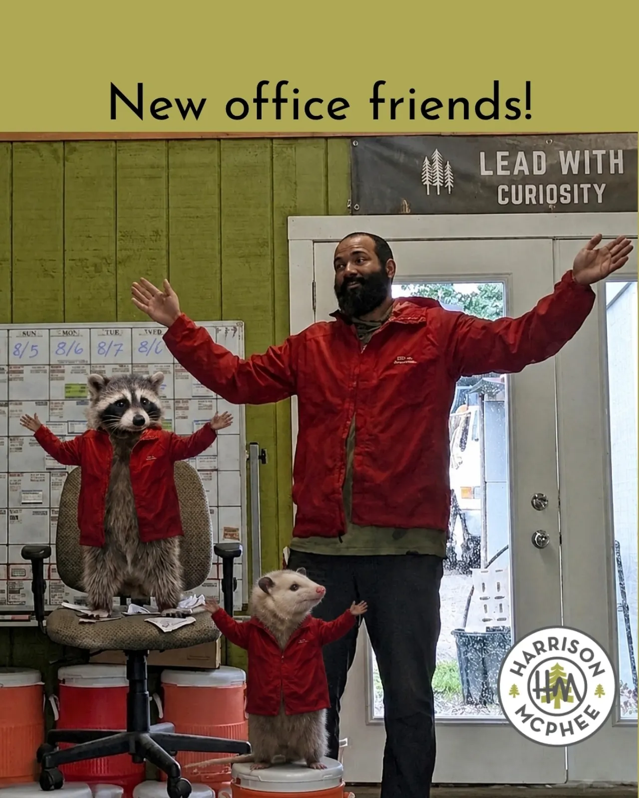 Our handy arborist Matt has a couple new sidekicks to assist with all your limbing needs! 🤚🌿

Okay, not really, but the sidekick search got a little competitive today. First a raccoon showed up looking for clean-up work, then we spotted a possum eyeing the position from a nearby tree. One furry applicant just wasn't enough excitement for the office! 

Swipe to meet both candidates! 🤩🦝🦫

#ArboristLife #WildlifeEncounter #RaccoonsOfInstagram #OfficeVisitors #TreeCareTeam #NatureComesToUs
