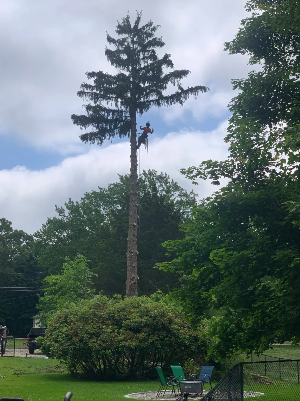 work photo from littletreecompanyllc.com