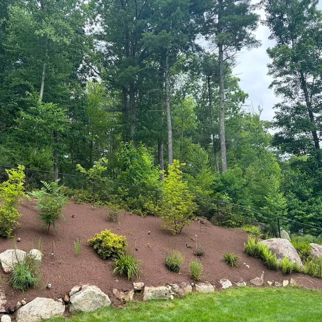 Schade Landscape & Construction researched project photo