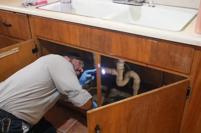 Anchor Pest Services work photo